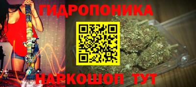 ПСИЛОЦИБИНОВЫЕ ГРИБЫ Кингисепп