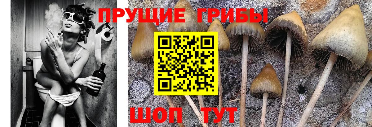 Псилоцибиновые грибы мухоморы  Псилоцибиновые грибы мицелий  Вход с VPN  Кувандык 